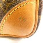 Louis Vuitton Monogram Amazon M45236 Shoulder Bag - Image 5