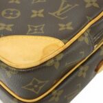 Louis Vuitton Monogram Amazon M45236 Shoulder Bag - Image 3