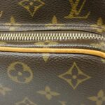 Louis Vuitton Monogram Amazon M45236 Shoulder Bag - Image 4