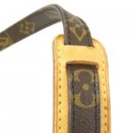 Louis Vuitton Monogram Amazon M45236 Shoulder Bag - Image 8