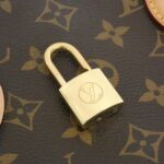 Louis Vuitton Monogram Ribera PM M44543 Bag - Image 6