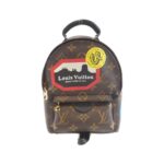 Louis Vuitton Monogram World Tour Palm Springs Backpack MINI M42971 Backpack