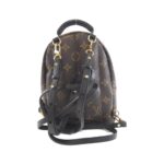 Louis Vuitton Monogram World Tour Palm Springs Backpack MINI M42971 Backpack - Image 2
