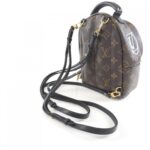 Louis Vuitton Monogram World Tour Palm Springs Backpack MINI M42971 Backpack - Image 5