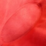 Louis Vuitton Epi Saint-Jacques M52277 Bag - Image 10