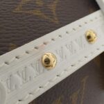 Louis Vuitton Monogram (LV Match) Papillon Trunk M81485 Shoulder Bag - Image 6