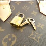 Louis Vuitton Monogram Alma PM M53151 Bag - Image 4