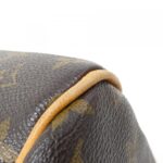 Louis Vuitton Monogram Delightful MM M40353 Shoulder Bag - Image 3