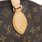Louis Vuitton Monogram Ribera MM M44546 Bag - Image 4