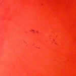 Louis Vuitton Damier Saleya PM N51183 Bag - Image 9