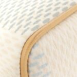 Louis Vuitton Damier Riche Speedy Bandoulière 20cm Boston Bag N40515 - Image 2