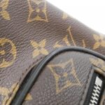 Louis Vuitton Monogram Makassar Josh M41530 Backpack - Image 4