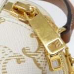 Celine_10J762CZ1_Bag_5