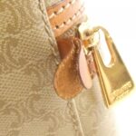 Celine_Bag_6