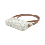 Celine_Horizontal_Pouch_10L272DM5_Shoulder_Bag_3