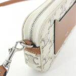Celine_Horizontal_Pouch_10L272DM5_Shoulder_Bag_5