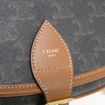 Celine_Large_Strap_Folco_196932BZJ_Shoulder_Bag_6