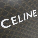 Celine_Medium_Vertical_Caba_194432CIM_Bag_4