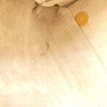 Celine_Mini_Belt_176103ZVA_Bag_10