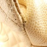 Chanel_18004_Shoulder_Bag_4