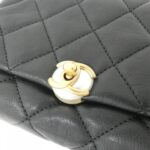 Chanel_AS1170_Shoulder_Bag_4