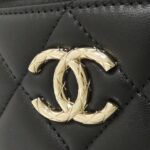 Chanel_AS1626_Bag_4