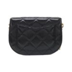 Chanel_AS2484_Shoulder_Bag_2