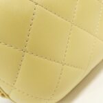 Chanel_AS3066_Bag_5