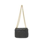 Chanel_AS3113_Shoulder_Bag_2