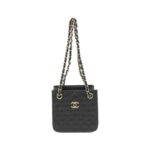 Chanel_AS3176_Shoulder_Bag_1