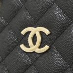 Chanel_AS3176_Shoulder_Bag_4
