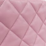 Chanel_AS3205_Shoulder_Bag_5