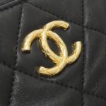 Chanel_AS3384_Shoulder_Bag_4