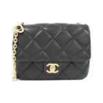 Chanel_AS3850_Shoulder_Bag_1