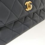 Chanel_AS4233_Bag_4