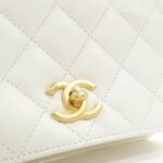 Chanel_AS4286_Bag_4