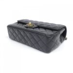 Chanel_AS4530_Bag_3