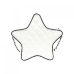 Chanel_AS4579_Shoulder_Bag_2