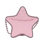 Chanel_AS4579_Shoulder_Bag_2