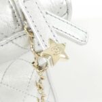 Chanel_AS4579_Shoulder_Bag_4