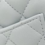 Chanel_AS5219_Shoulder_Bag_6