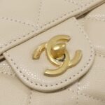 Chanel_AS5239_Bag_4