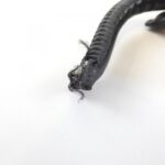 Chanel_Cambon_Line_25177_Shoulder_Bag_7