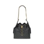 Chanel_Chanel_25_Line_AS5311_Shoulder_Bag_1