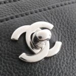 Chanel_Executive_Line_15206_Bag_6