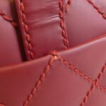 Chanel_Wild_Stitch_Line_20666_Bag_5