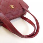 Chanel_Wild_Stitch_Line_20666_Bag_7