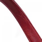 Chanel_Wild_Stitch_Line_20666_Bag_8