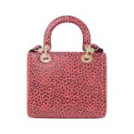 Christian_Dior_Lady_Dior_Medium_Bag_2