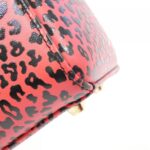 Christian_Dior_Lady_Dior_Medium_Bag_4